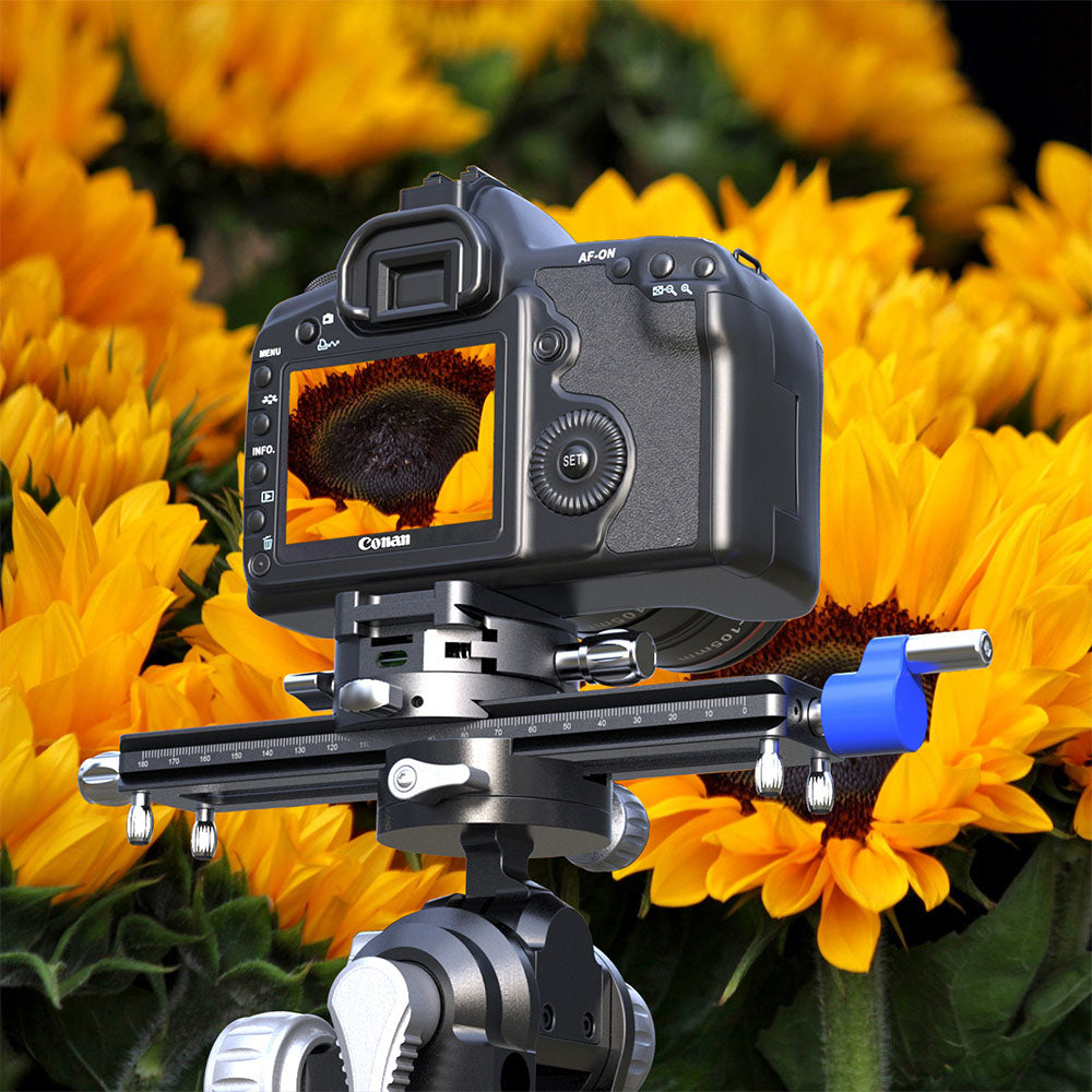 Macro Photography Made Precise: The BFW-150B Macro Focusing Rail