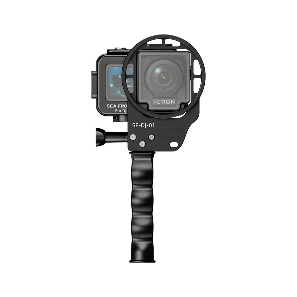 Action 4（SF15004）