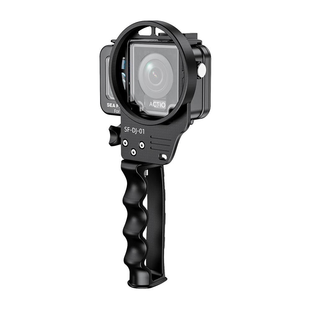 Action 4（SF15004）