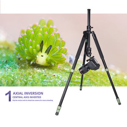 ASL-2541B Tripod